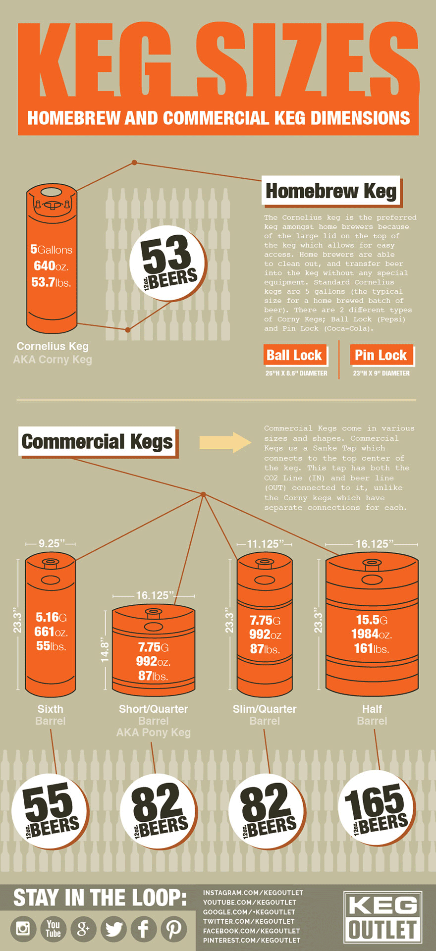 keg-sizes-infographic-homebrew-and-commercial-keg-dimensions