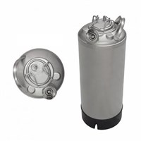 5 Gallon Line Cleaning Keg (Sanke D) with Removable Lid / 