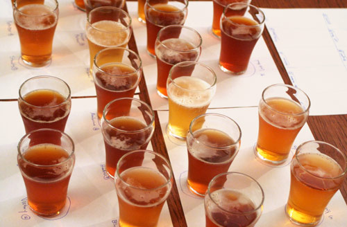 beer tasting