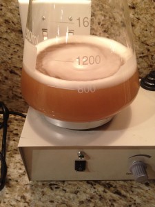 Conan yeast harvesting - Day 1