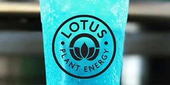 Lotus Plant-Based Energy