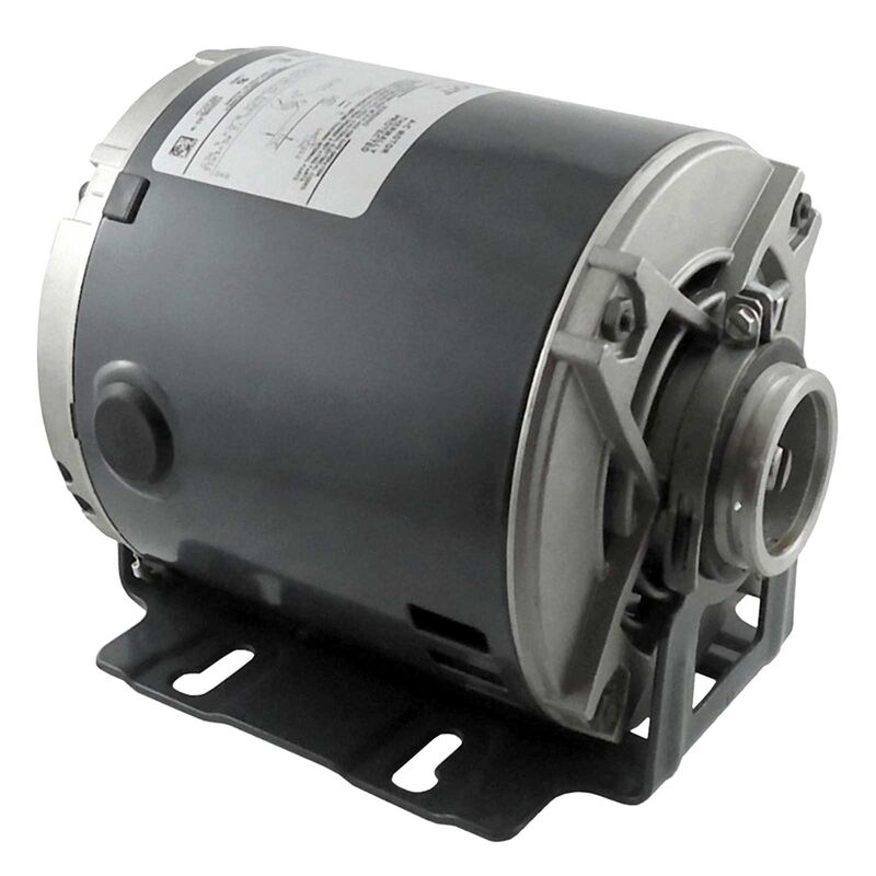 McCann's Carbonator Replacement Pump Motor