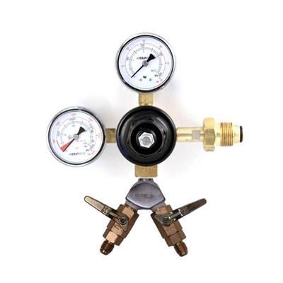 Nitrogen Regulator w/ WYE 1/4" MFL Check Valves