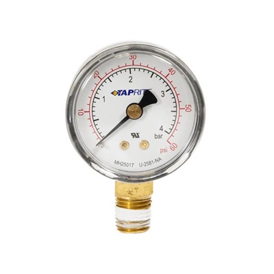 Regulator Gauge - 0-60 PSI - Taprite