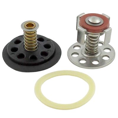 Repair Kit for Watts SD-3 Backflow Preventer / Repair Kit for Backflow Preventer (For Watts Sd3)
