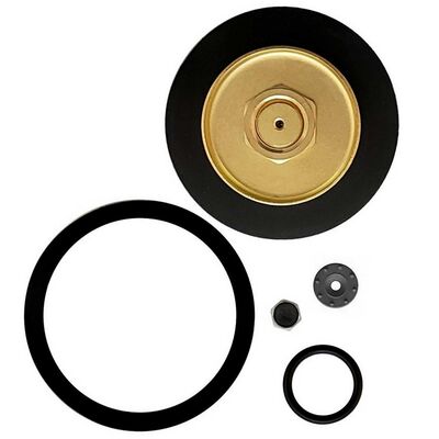 Cornelius Secondary CO2 Regulator Repair Kit (Alternate View 1)