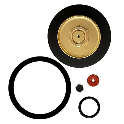 Cornelius Primary CO2 Regulator Repair Kit (Alternate View 1)