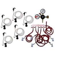 Basic Homebrew Keg Kit - 5 Tap - BALL LOCK (Alternate View 1)