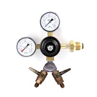 Nitrogen Regulator w/ WYE 1/4" MFL Check Valves (Alternate View 1)