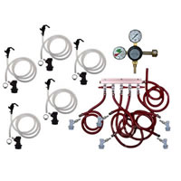 Basic Homebrew Keg Kit - 5 Tap - BALL LOCK - Taprite (Alternate View 1)