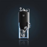 Ss Brewtech Unitank 2.0 (14 Gallon)