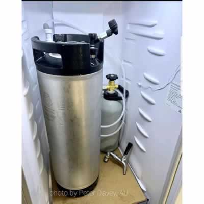Picnic Tap 2.0 - Direct Ball Lock Keg Dispenser (Alternate View 2)