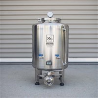 10 Gallon Brite Tank - Ss Brewtech / 