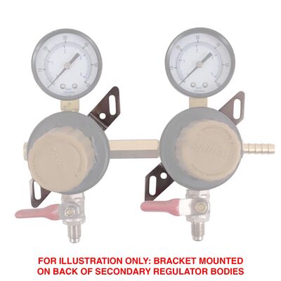 Taprite Regulator Mounting Bracket (43-0006-00) (Alternate View 2)