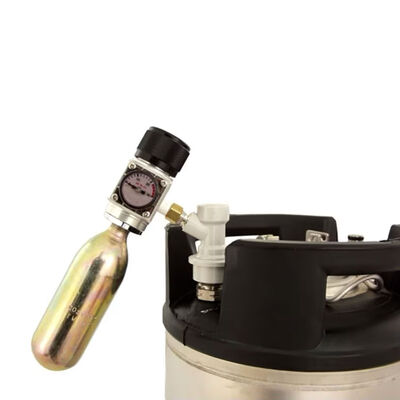 Mini CO2 Regulator Kit with Ball Lock Disconnect (Alternate View 2)